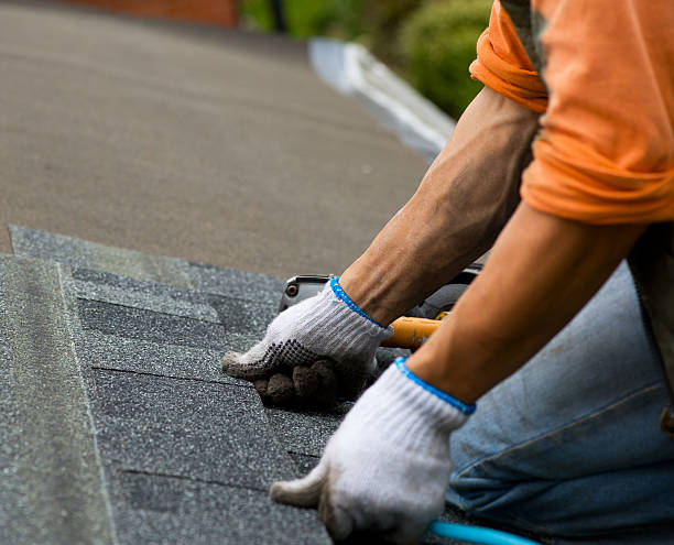 Best Storm Damage Roof Repair  in Tool, TX